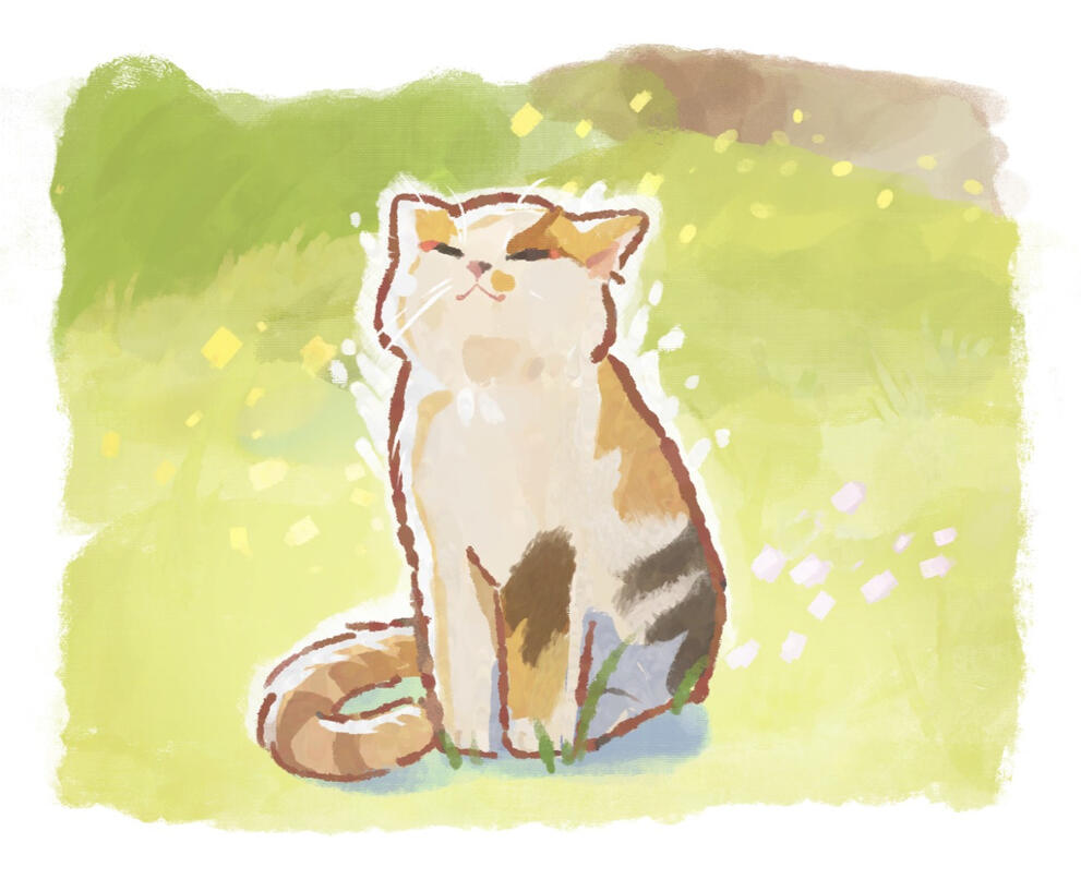 Cat Basking