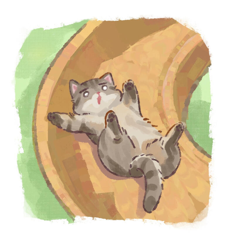 Cat Sliding