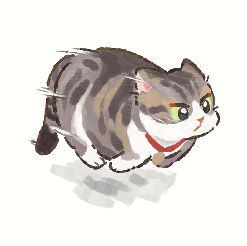 Zoomies